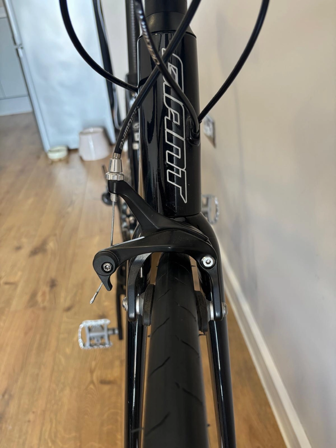 Giant Contend 2 2020
