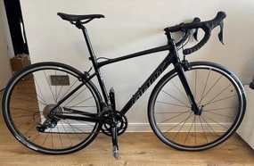 Giant Contend 2 2020