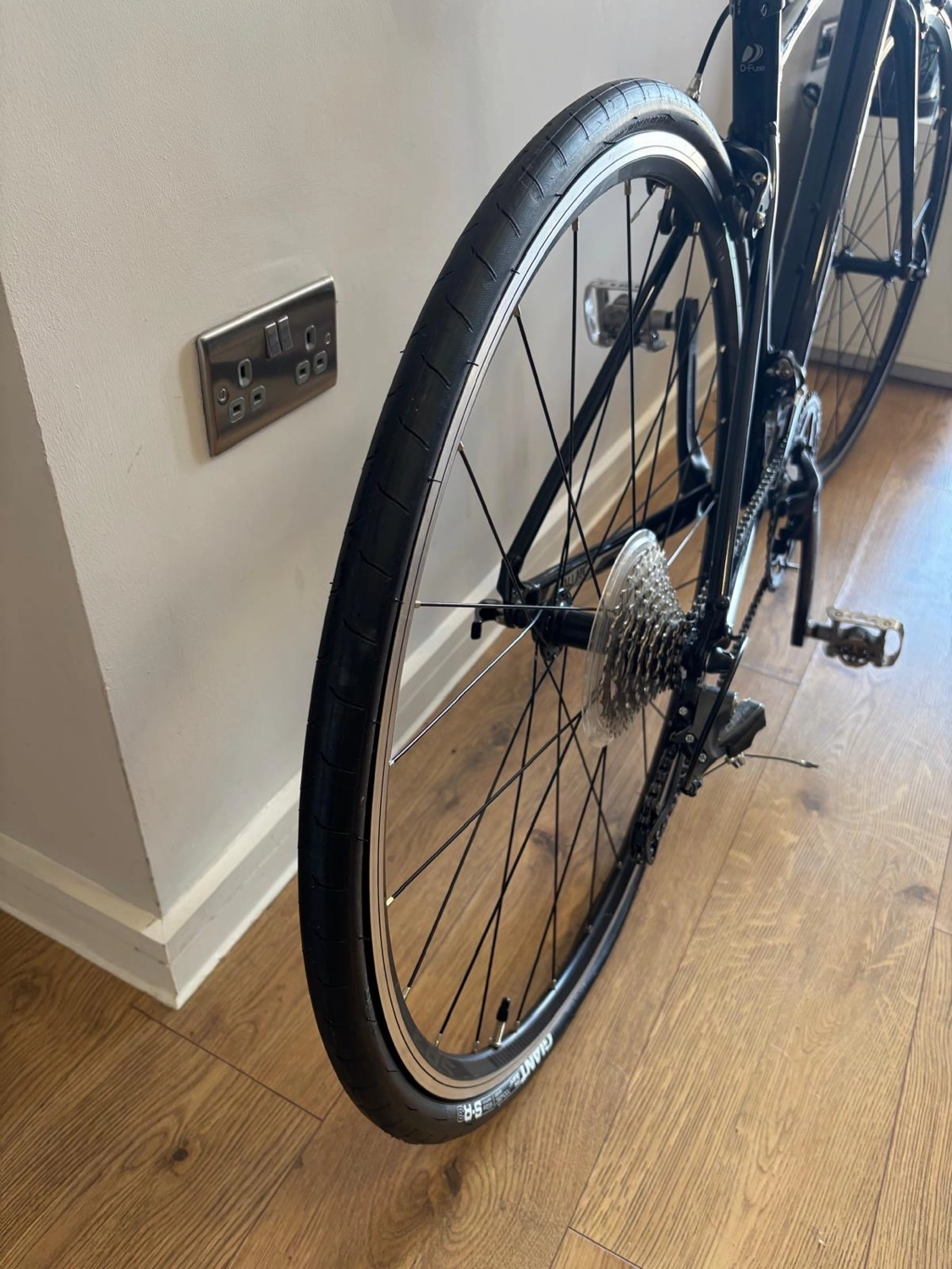 Giant Contend 2 2020
