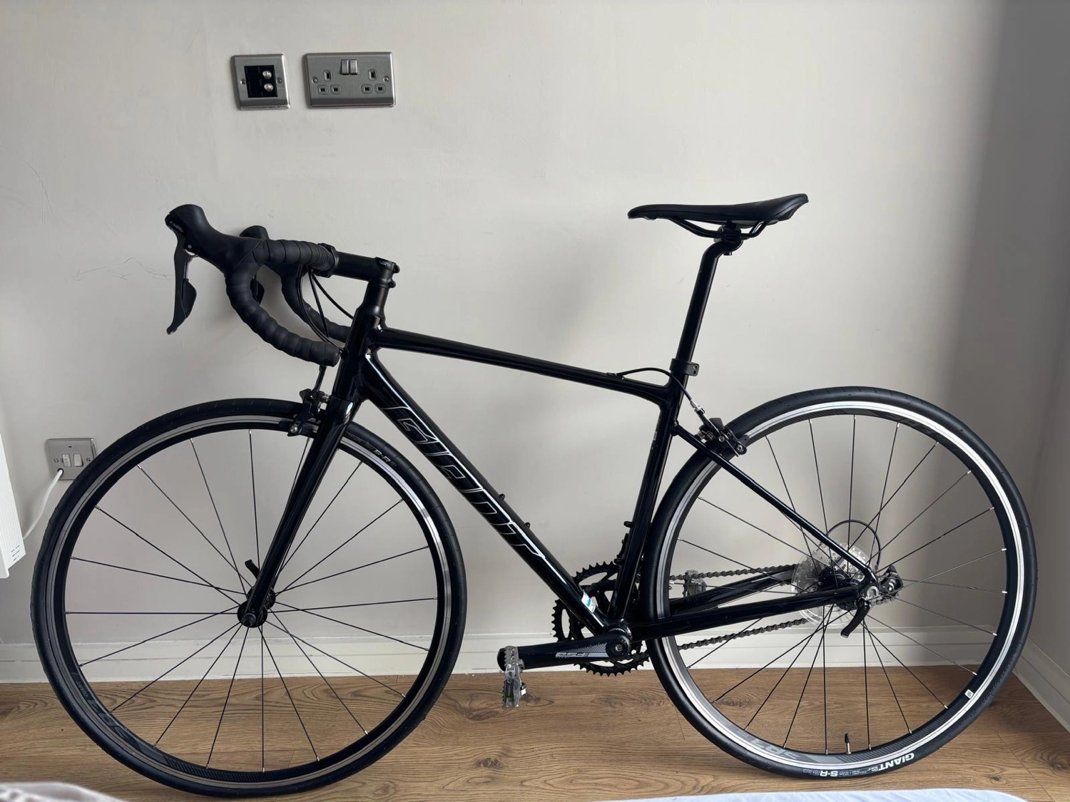 Giant Contend 2 2020