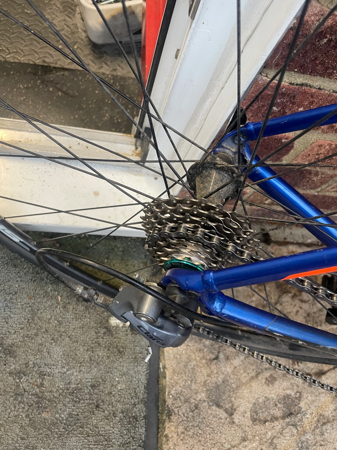 Giant Contend 2 2020