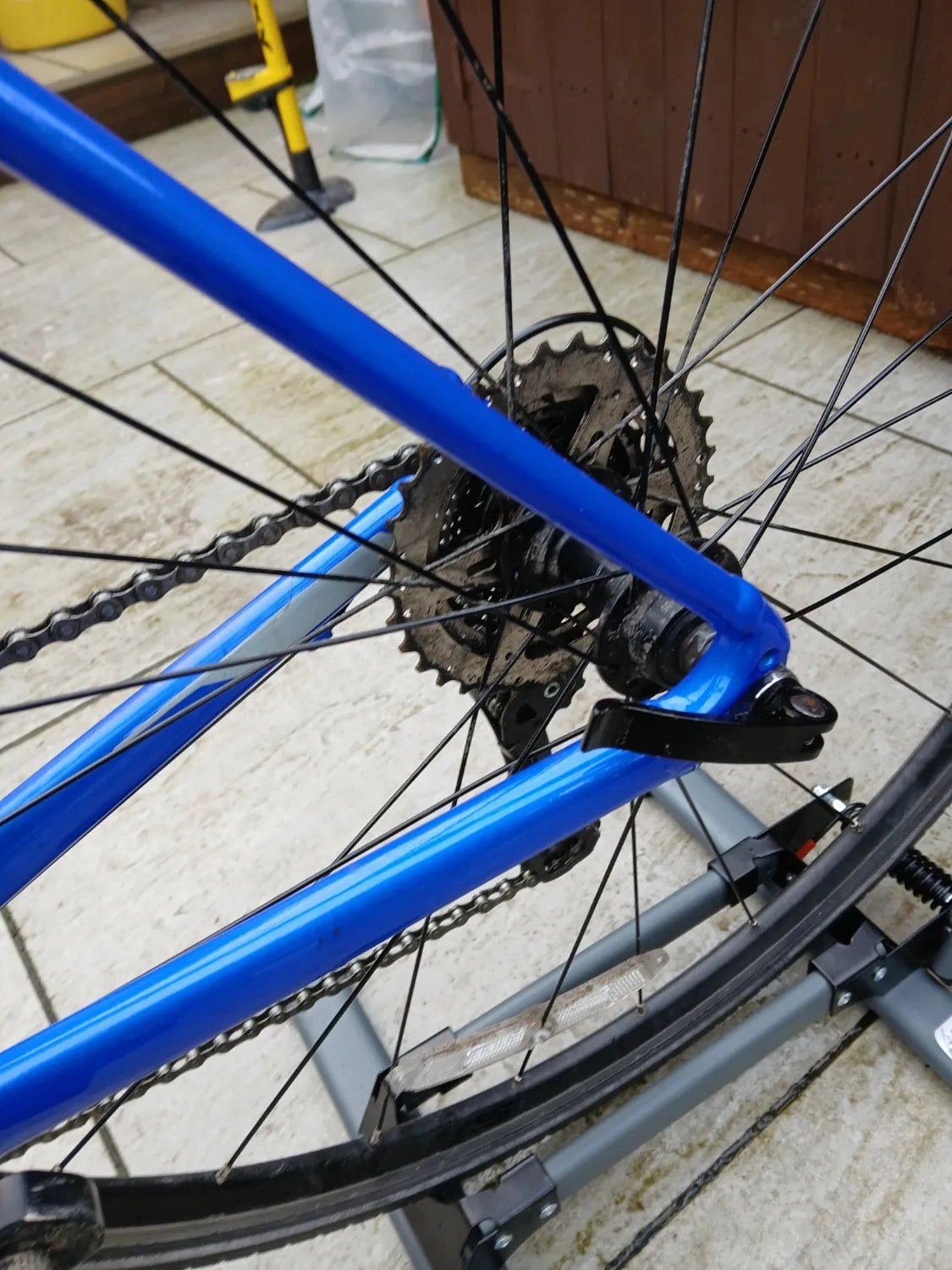 Giant Contend 2 2024