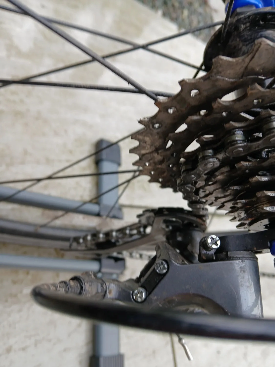 Giant Contend 2 2024