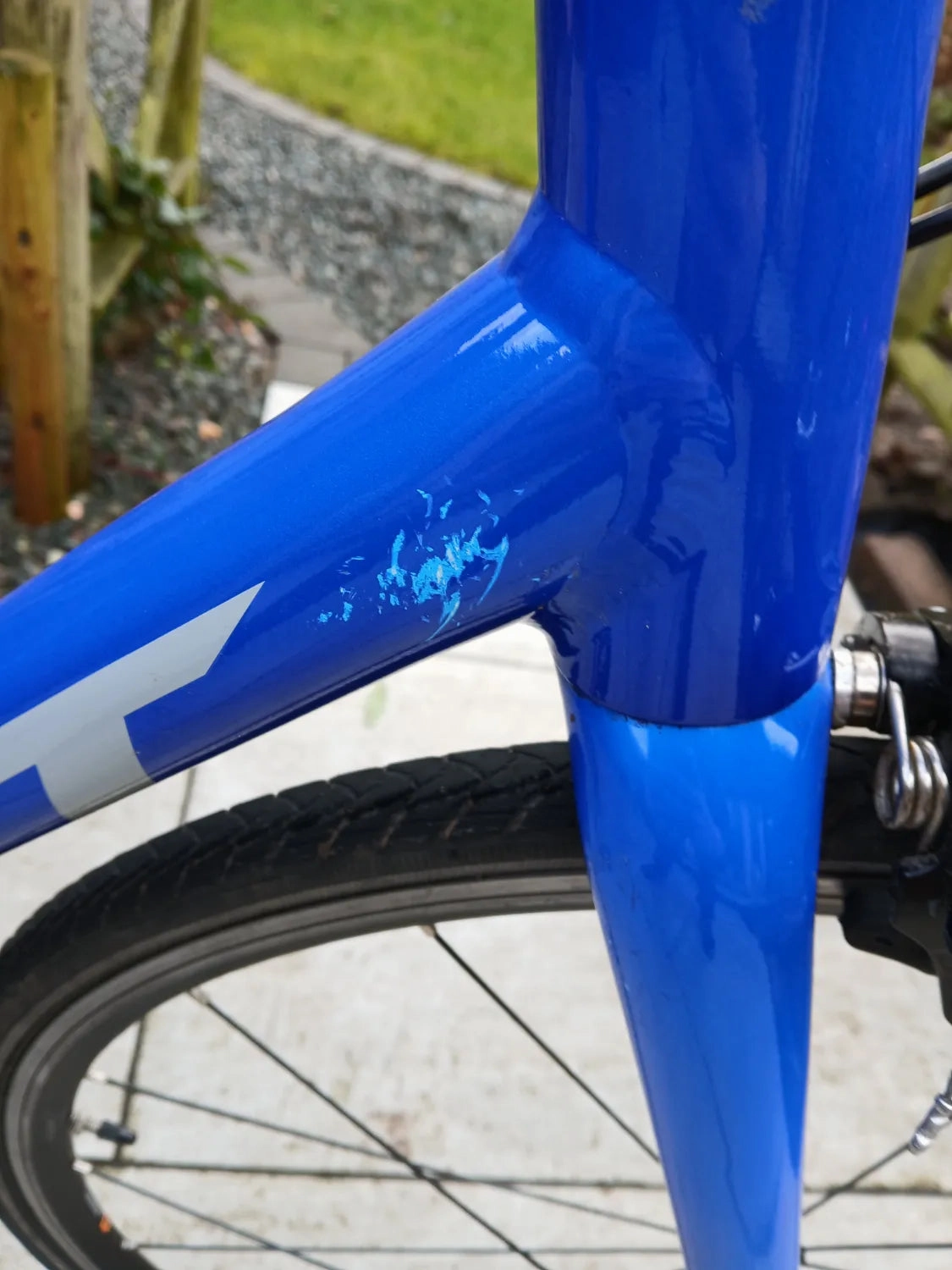 Giant Contend 2 2024