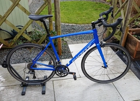 Giant Contend 2 2024