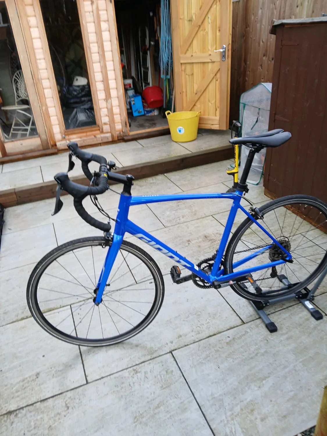 Giant Contend 2 2024