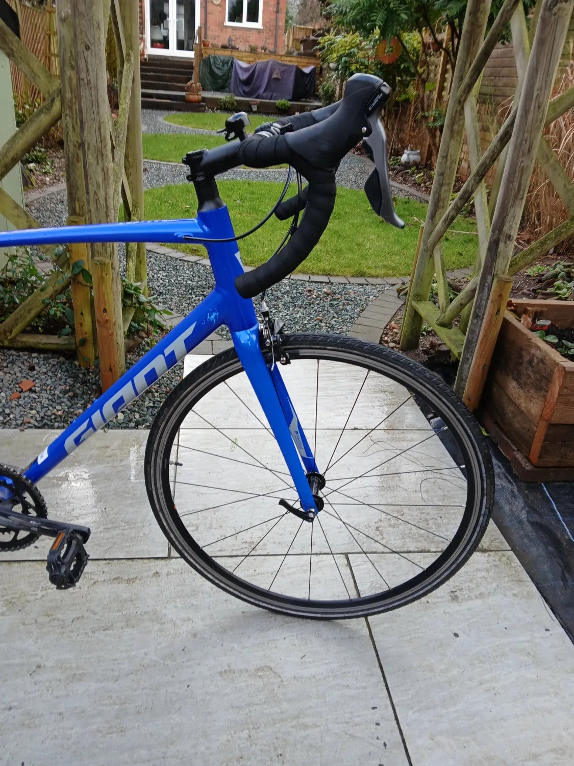 Giant Contend 2 2024