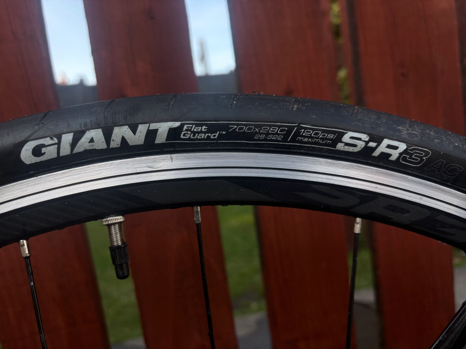 Giant Contend SL 1 2020