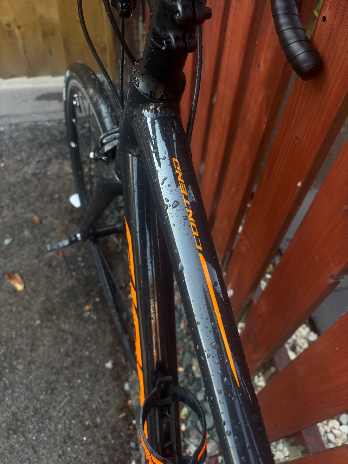 Giant Contend SL 1 2020