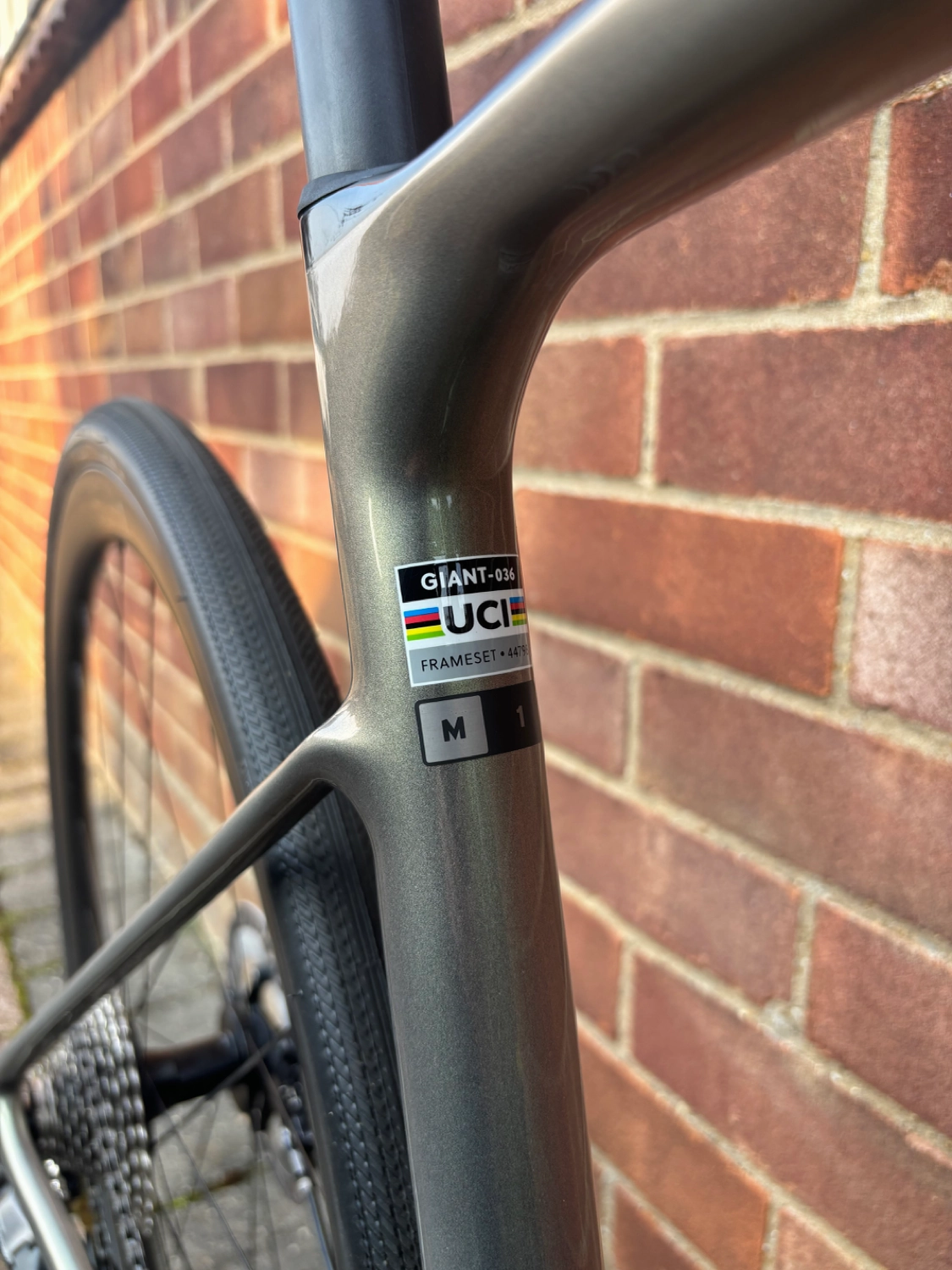 Giant Defy Advanced SL 1 2024