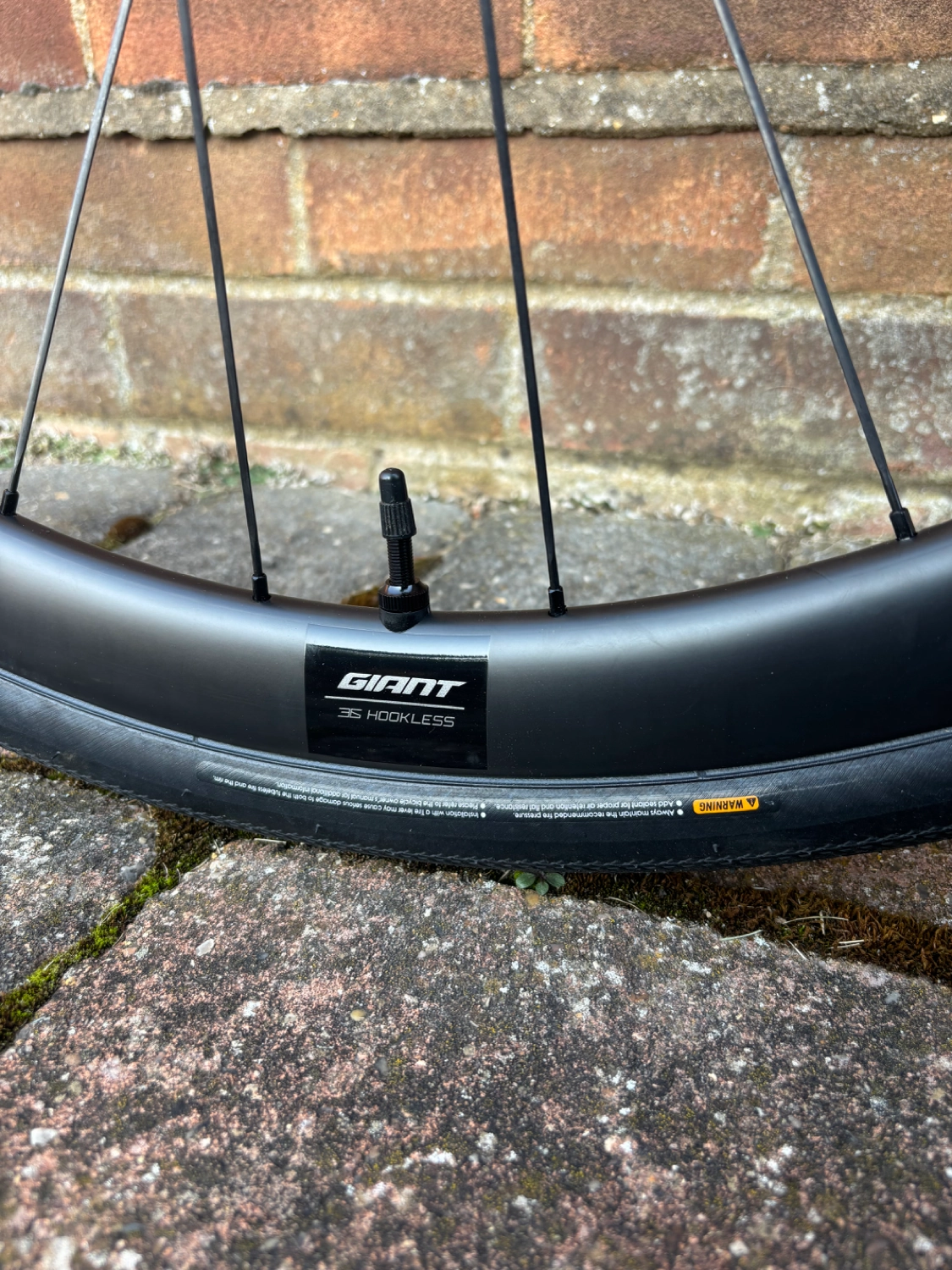 Giant Defy Advanced SL 1 2024