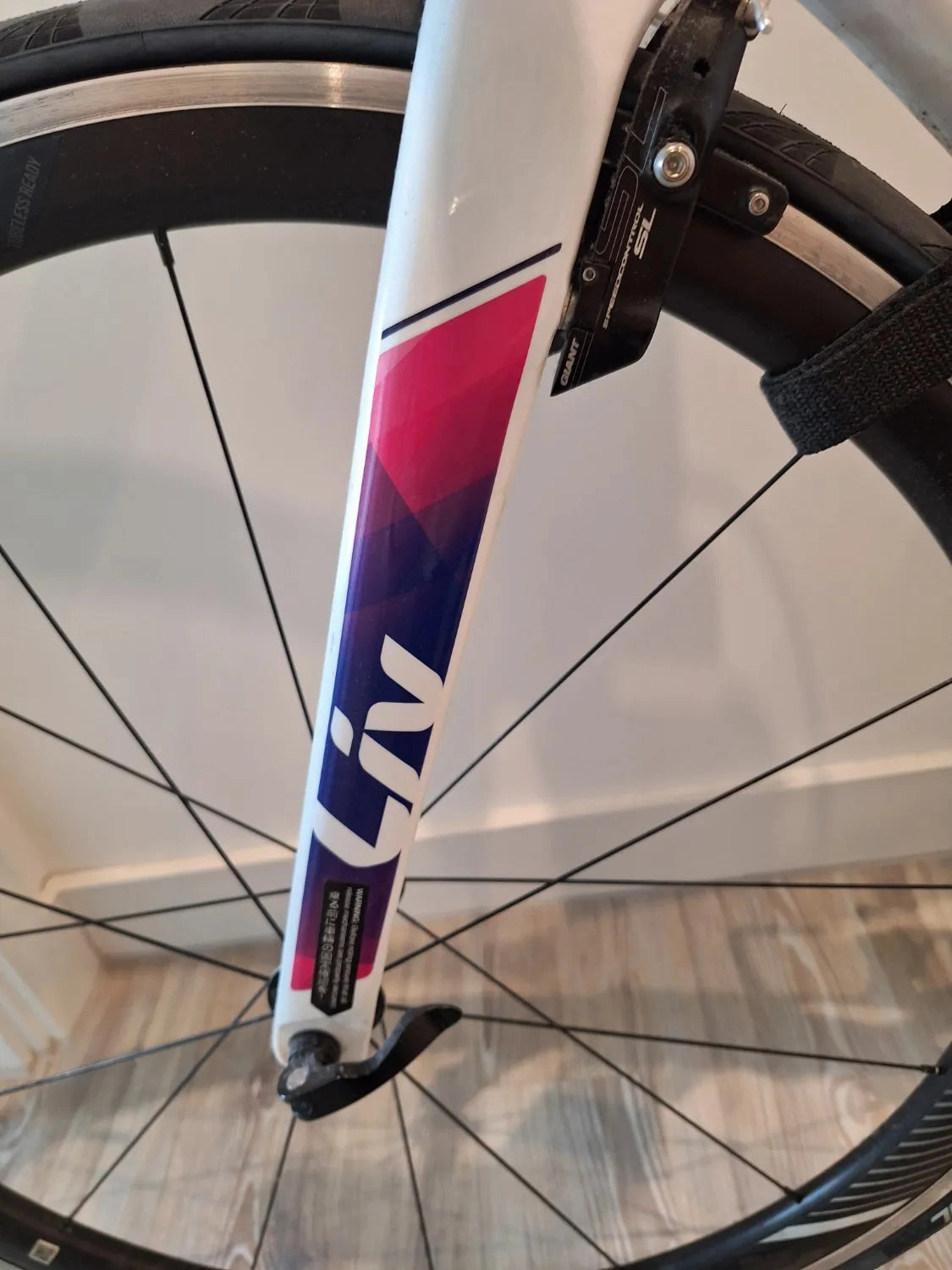 Giant Liv Envie Advanced II 2018