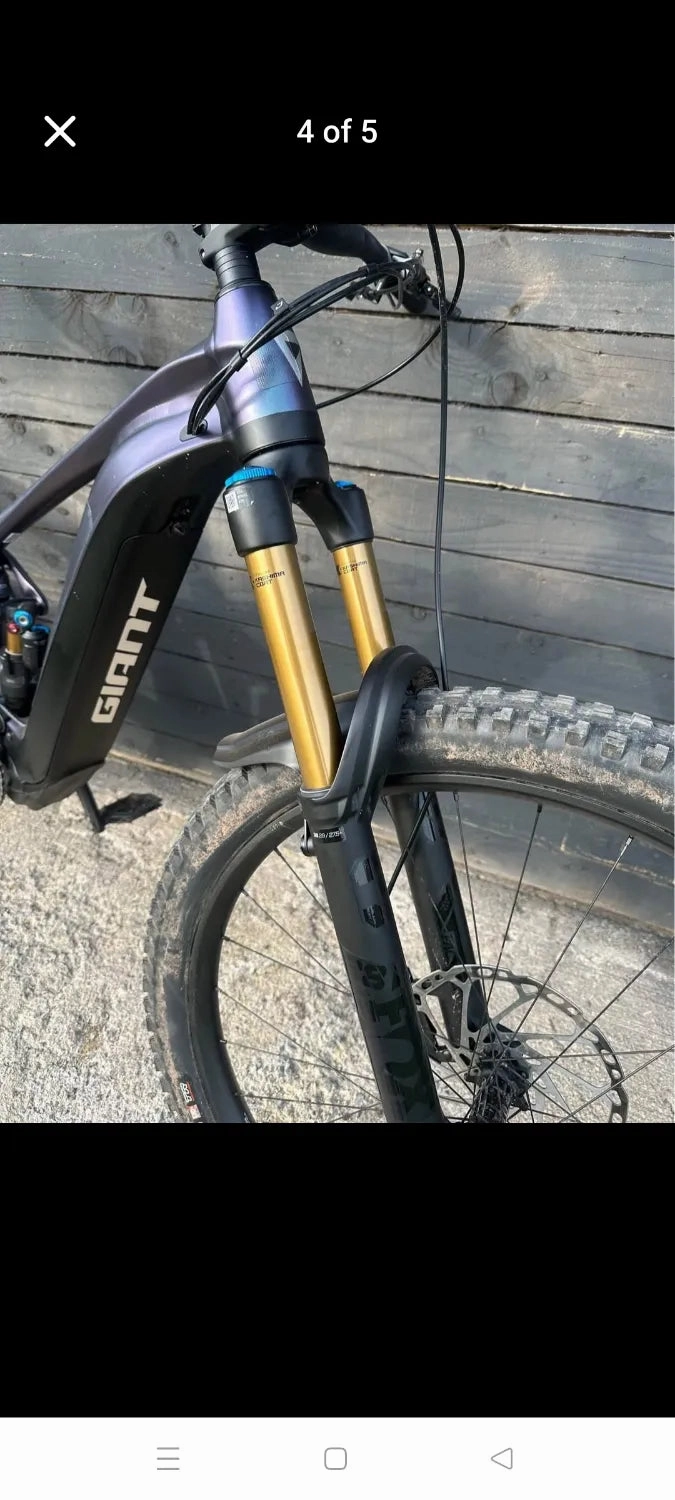 Giant Reign E  1 2024