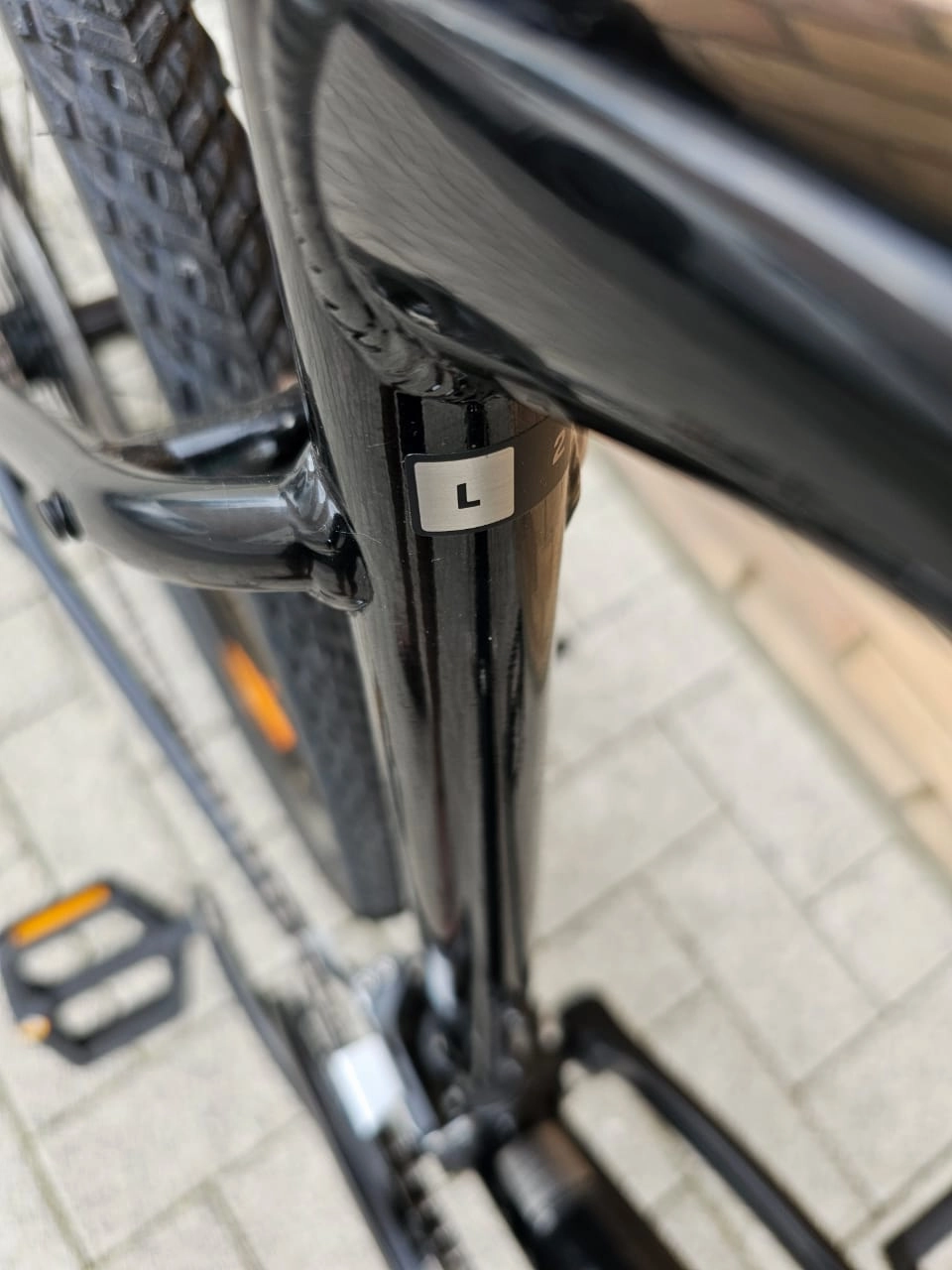 Giant Roam 2 Disc 2022