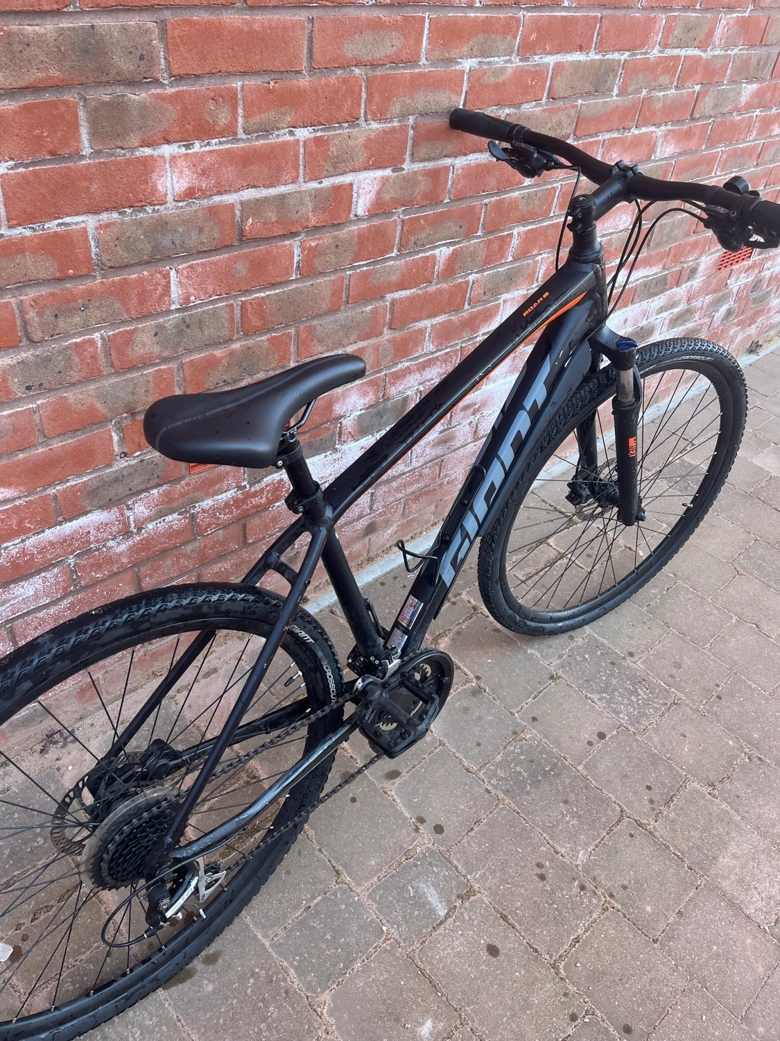 Giant Roam 3 Disc 2020