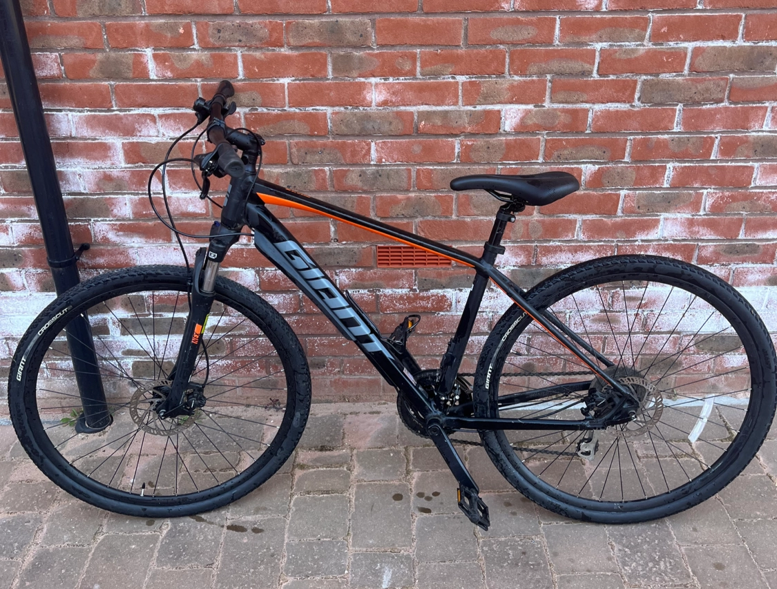 Giant Roam 3 Disc 2020