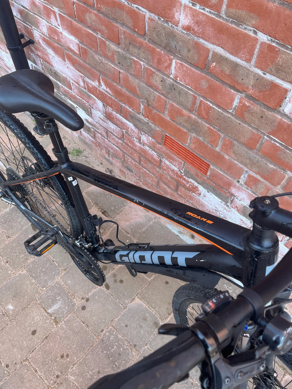 Giant Roam 3 Disc 2020