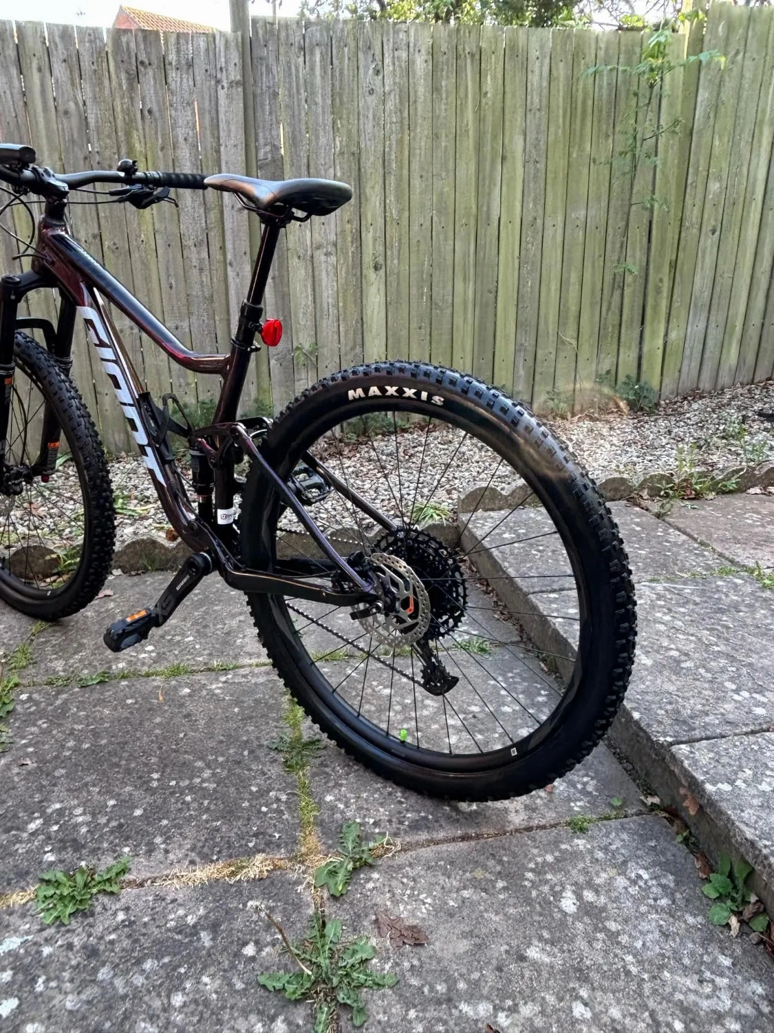 Giant Stance 2023