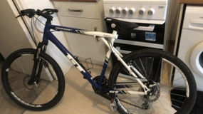 GT Aggressor Expert 2017