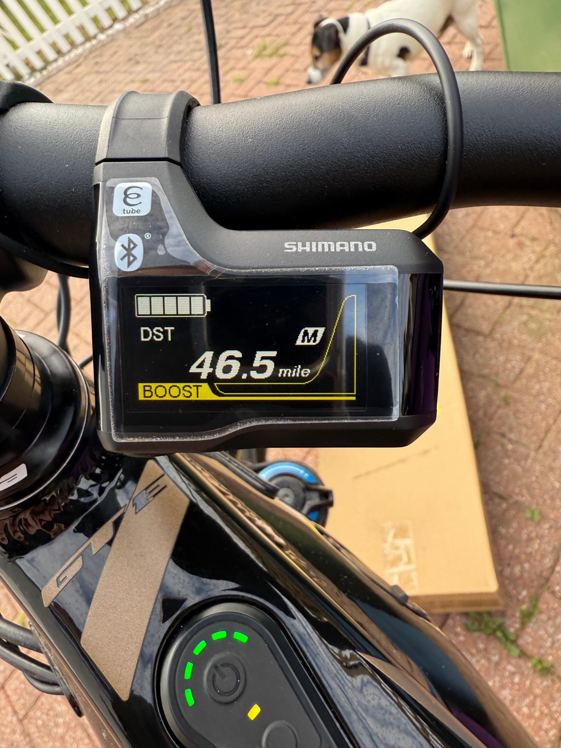 GT eForce Amp  2022