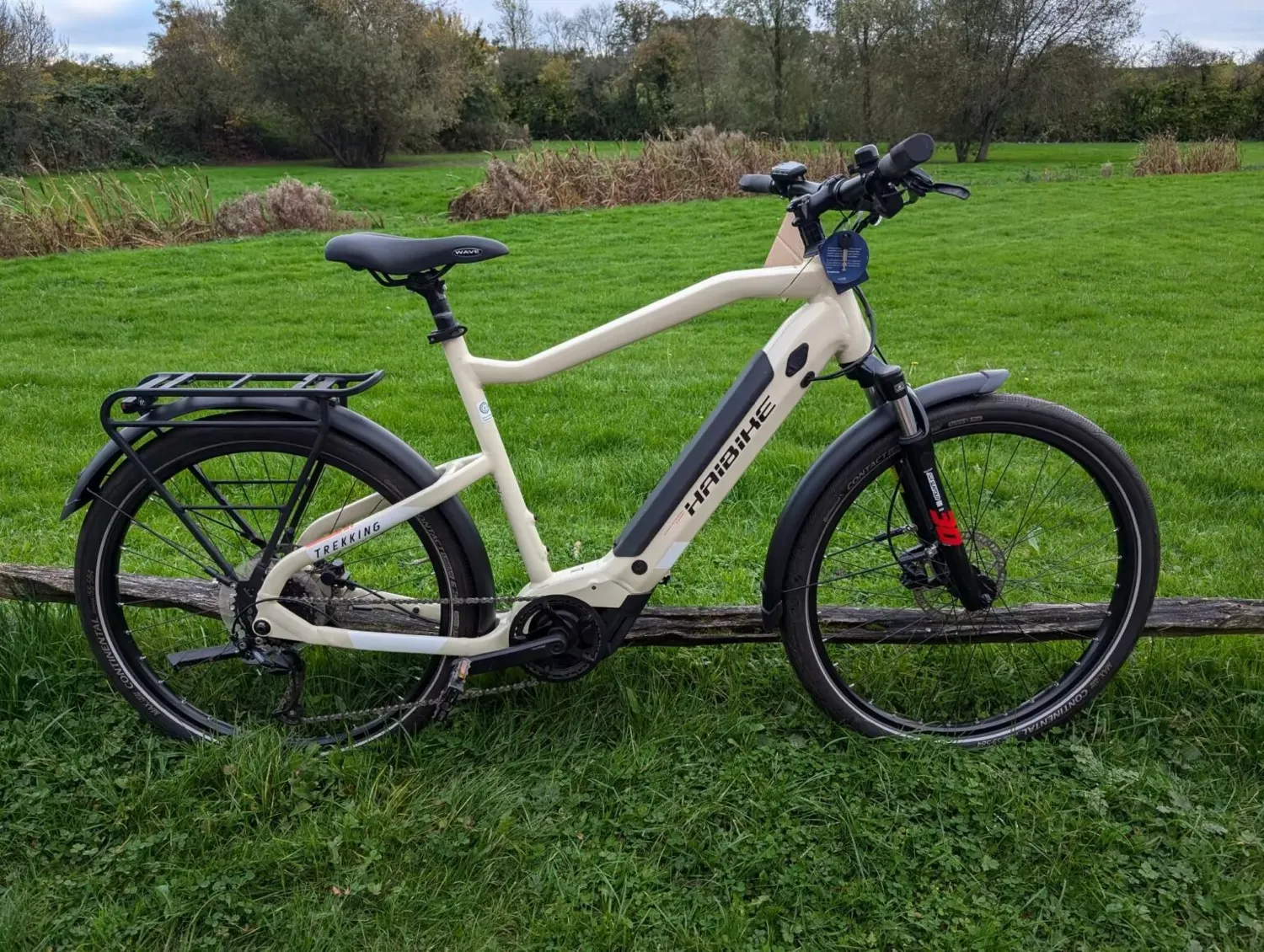 Haibike Trekking 4 HIGH 2021