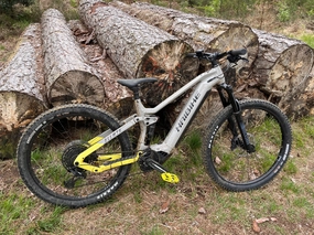 Haibike AllMtn 2 2022
