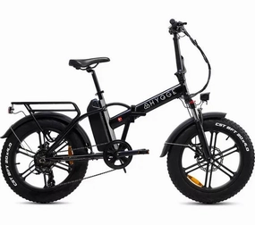 Hygee Vester Foldable Fat Tire Electric Bike 250W (2024)