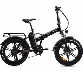 Hygee Vester Foldable Fat Tire Electric Bike 250W (2024)