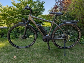 Kalkhoff ENDEAVOUR 1.B MOVE Comfort 2020