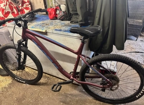 Kona Fire Mountain 2022