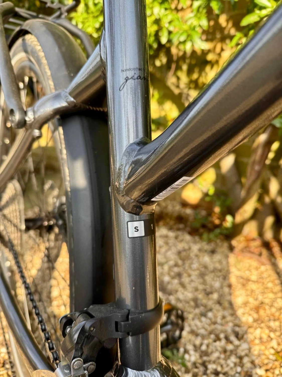 Liv Amiti E  1 Electric Bike 2021
