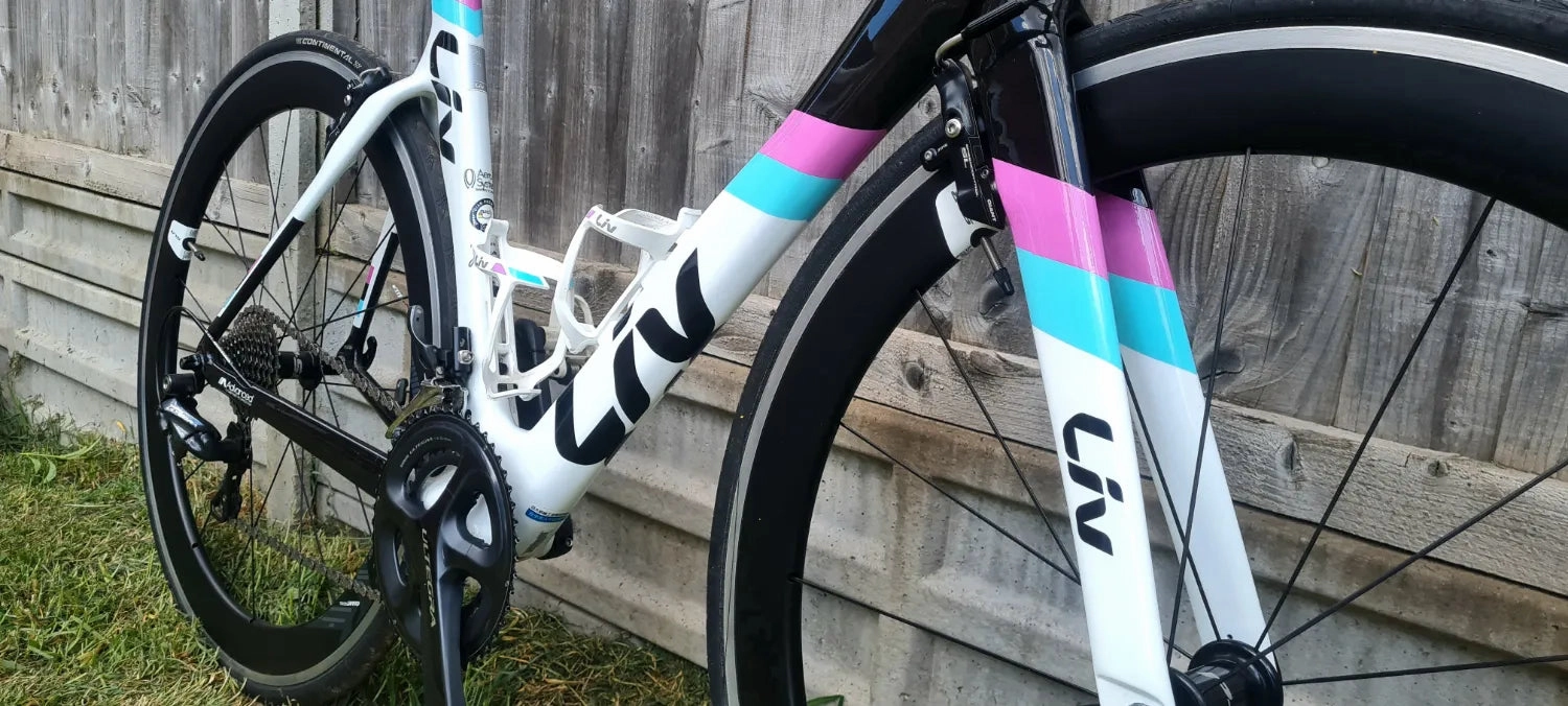 Liv EnviLiv Advanced - SL Frameset 2016