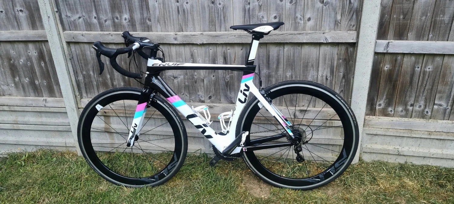 Liv EnviLiv Advanced - SL Frameset 2016