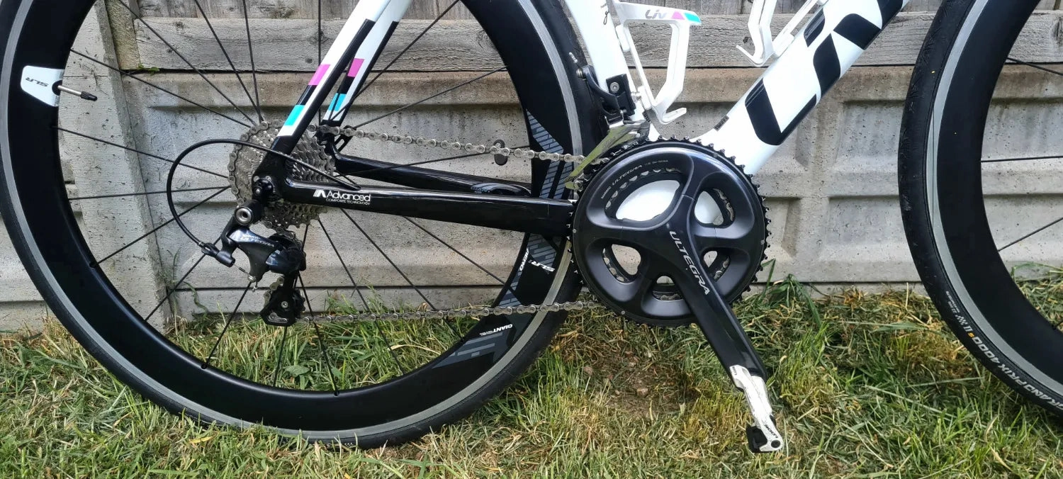 Liv EnviLiv Advanced - SL Frameset 2016