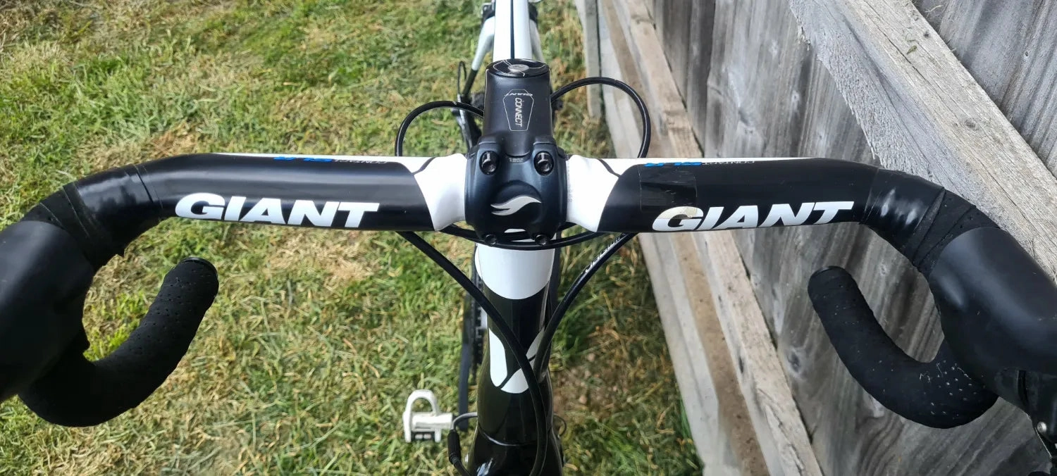 Liv EnviLiv Advanced - SL Frameset 2016