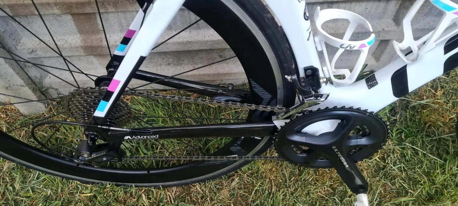 Liv EnviLiv Advanced - SL Frameset 2016