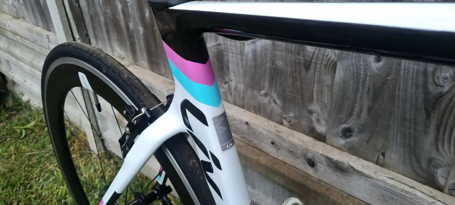 Liv EnviLiv Advanced - SL Frameset 2016
