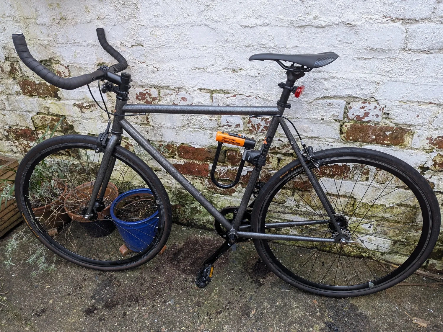 Mango Single speed V2 - GUS 2022