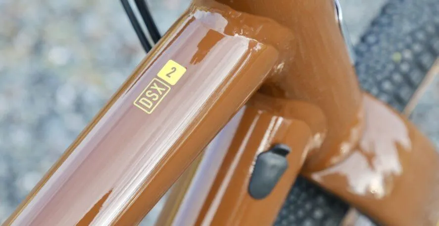 Marin DSX 2 (Brown)