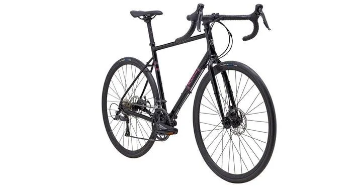 Marin Nicasio (Black/Purple)