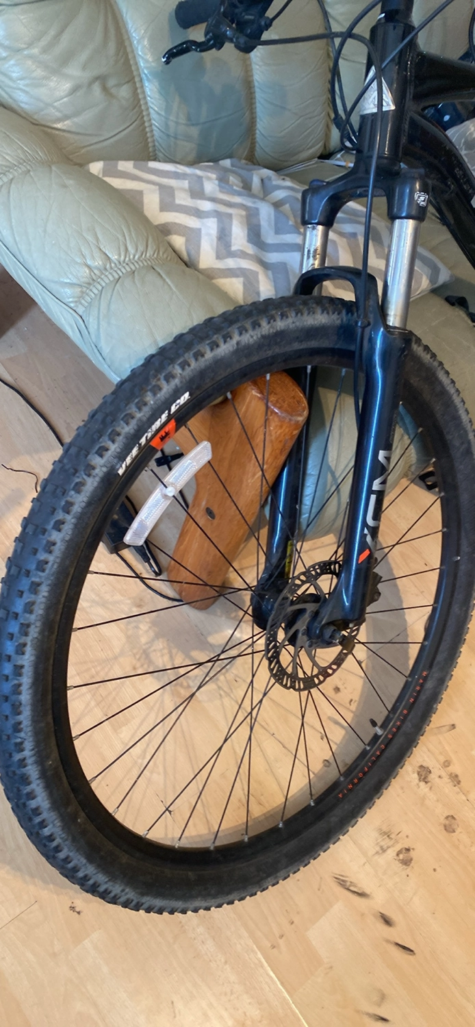 Marin Bobcat Trail 3 2019