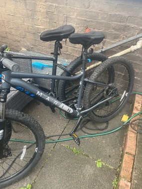 Marin Wildcat Trail WFG 1 2019