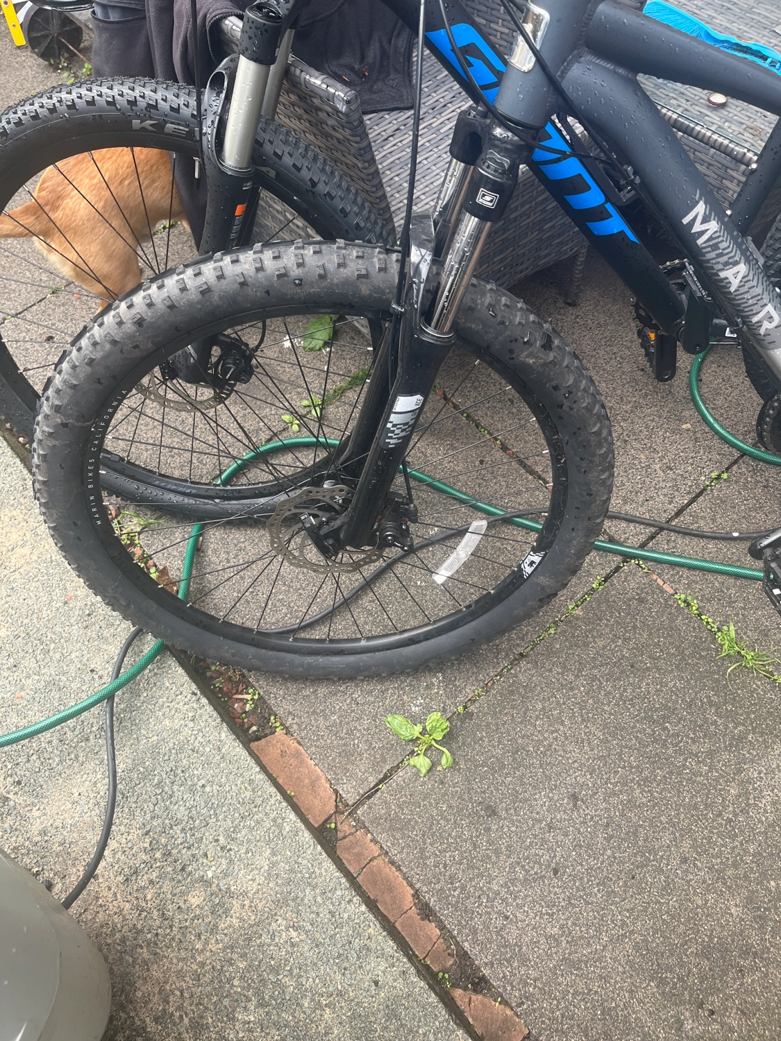 Marin Wildcat Trail WFG 1 2019