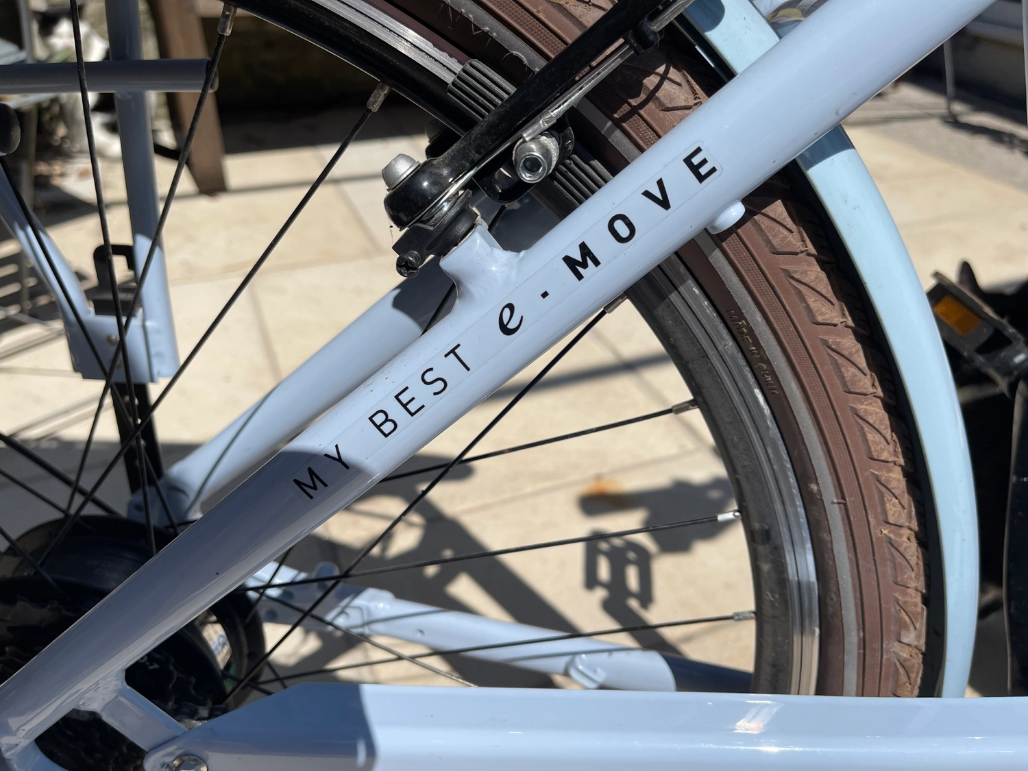 MBM Pulse 2023