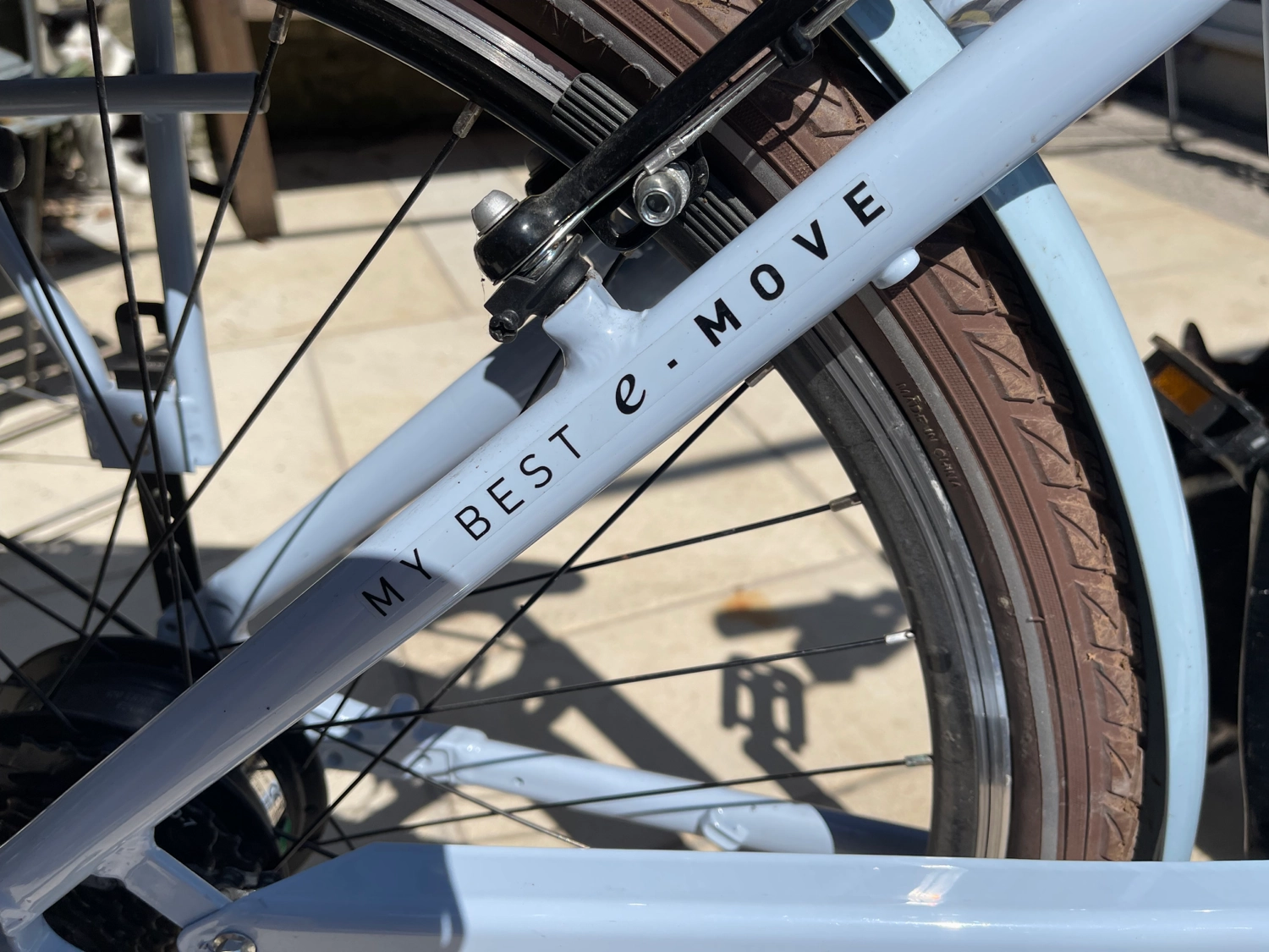 MBM Pulse 2023