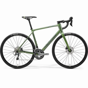 Merida Scultura Endurance 300 - Silk Fog Green