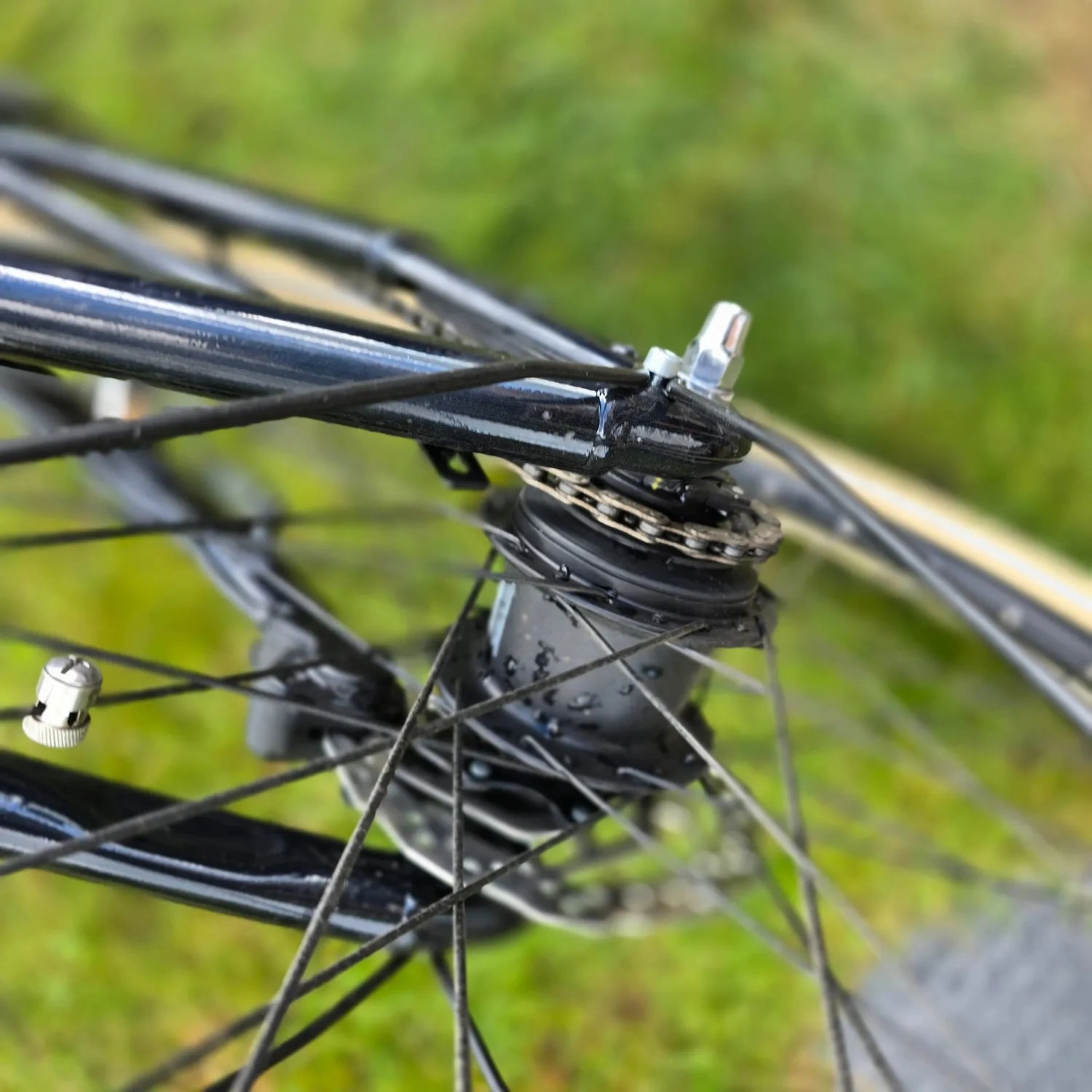 Momentum Transend E  2022