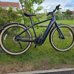 Momentum Transend E  2022