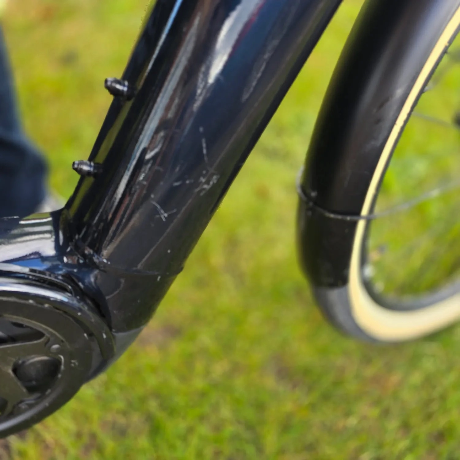 Momentum Transend E  2022