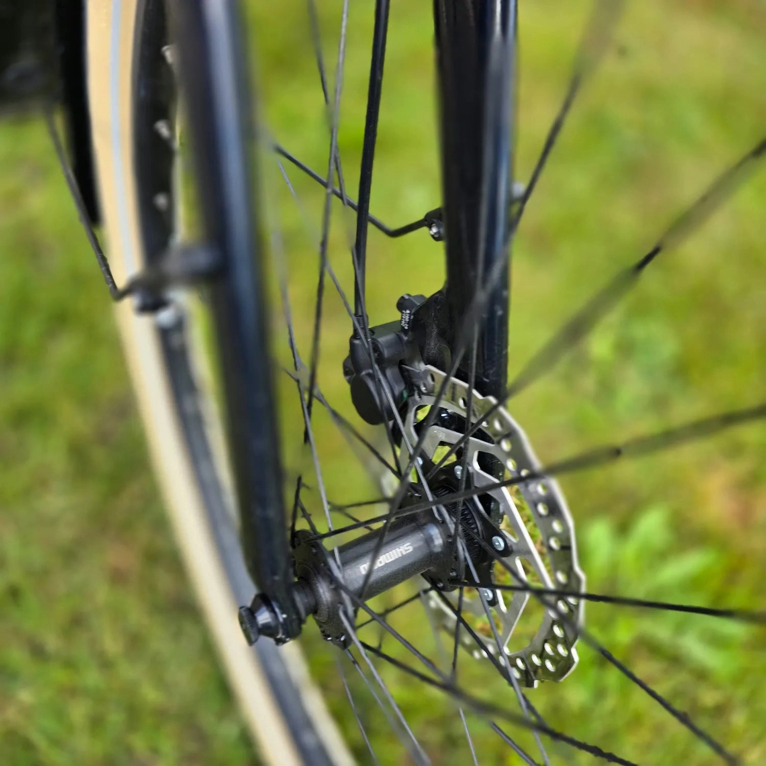 Momentum Transend E  2022